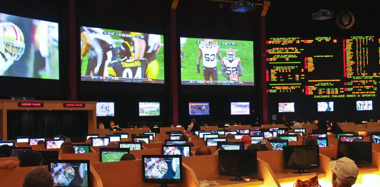 station casino sports book hours betting app